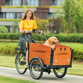 cargo biciclete electrice cu trei roți 36V shimano 7 Speed Cargo trike pentru familie și livrarea de bunuri